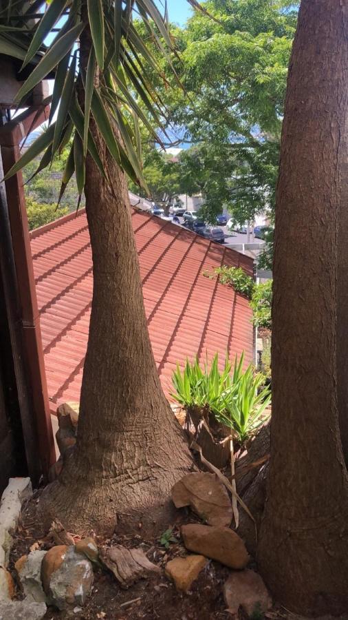 Independent Quaint Flat, Close To Beach Cape Town Ngoại thất bức ảnh
